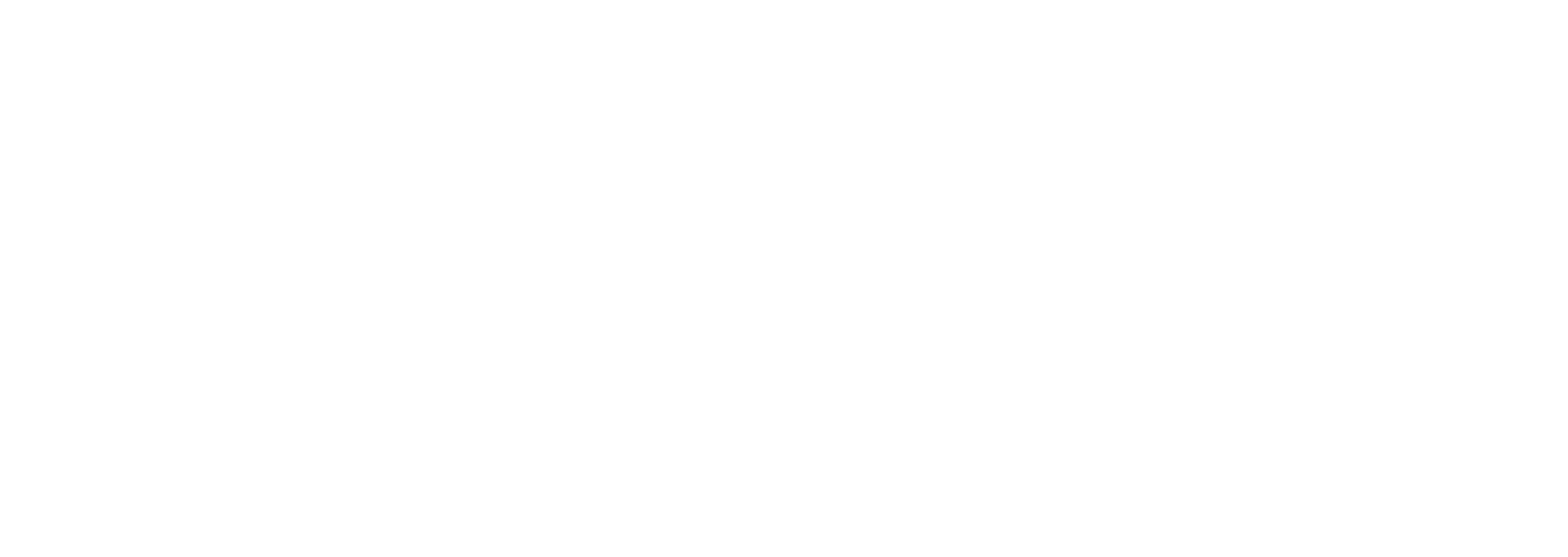 Meisner Aircraft